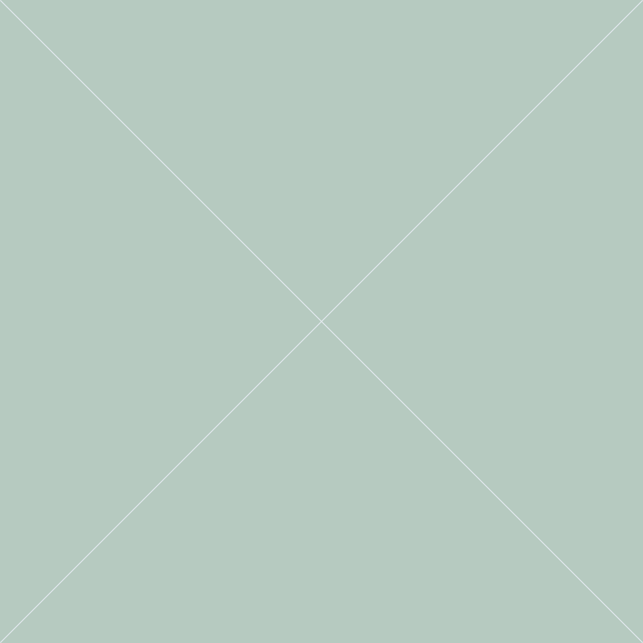 Product 12