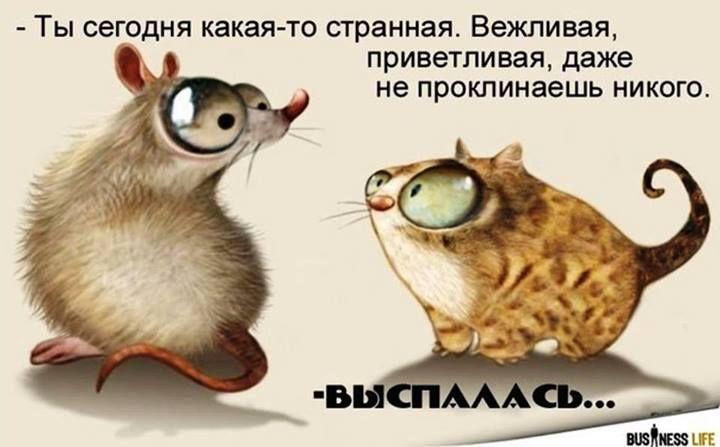 1B_Product 51