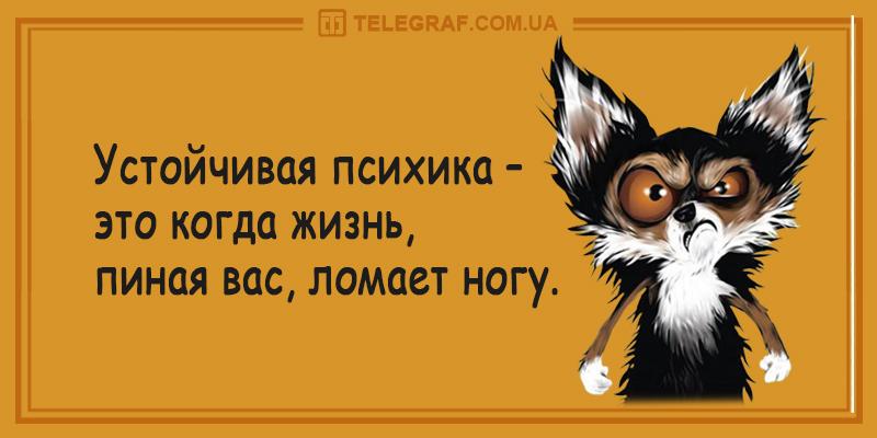 1B_Product 43