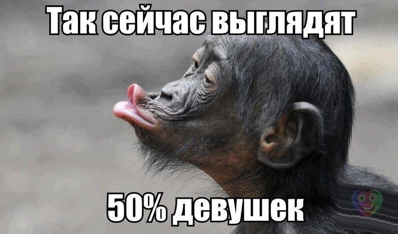 1B_Product 37