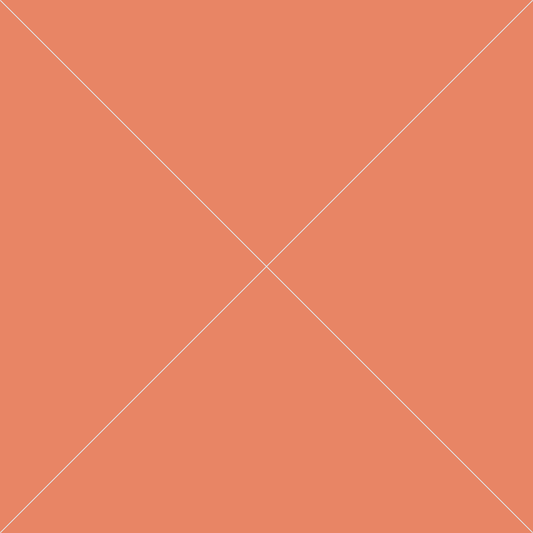Product 13