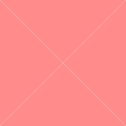 Product 13