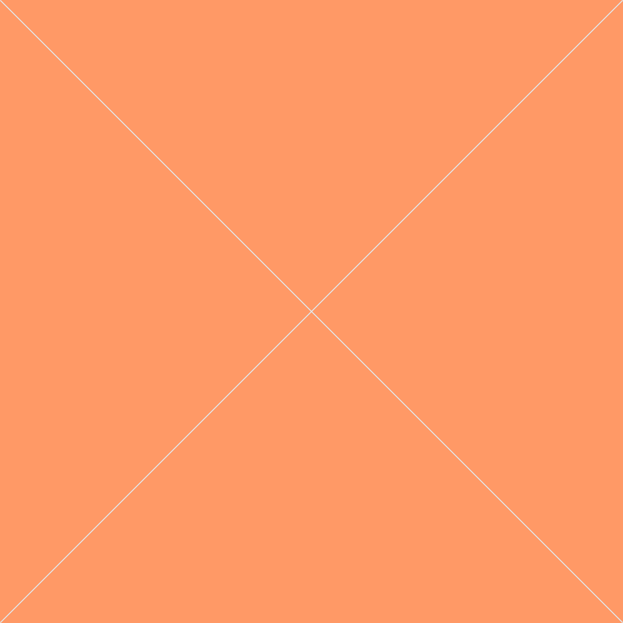 Product 14